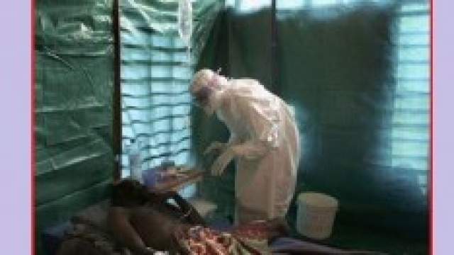 Virus Ebola, emergenza in Africa ma non in Italia