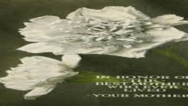  Festa della mamma 2014: data, frasi