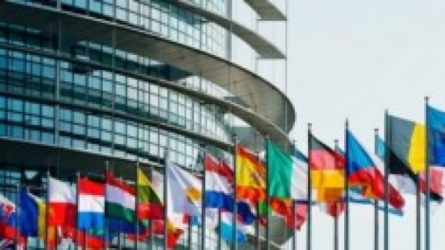 Sondaggio Elezioni Europee e Amministrative
