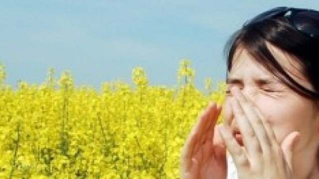 Allergie in aumento questa primavera