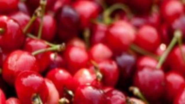 Sagra delle ciliegie a Leverano