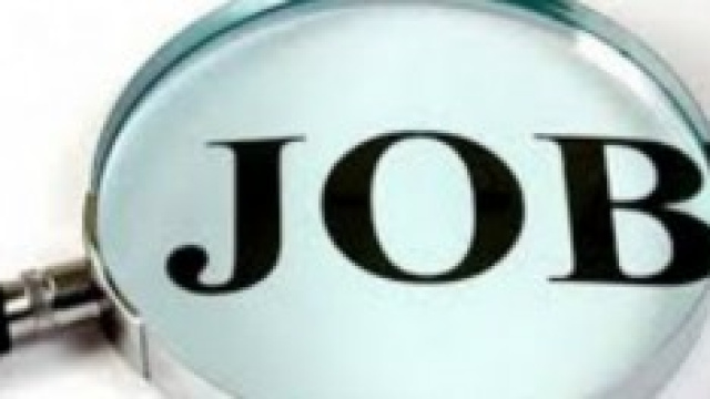 Lavoro 2014: come partecipare alle assunzioni