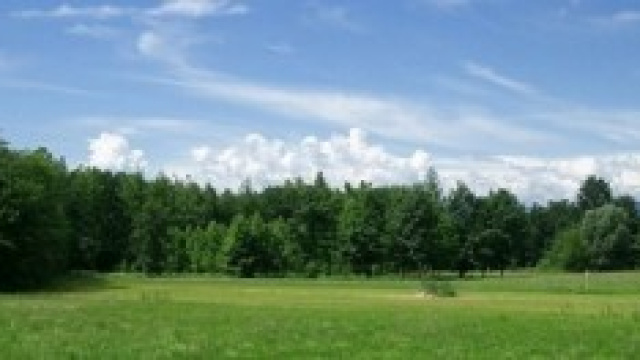 ampi spazi verdi per la salute mentale