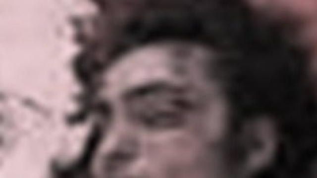 Aldrovandi bufera sul sap