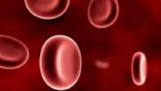 Anemia da ferro: sintomi, cure naturali 