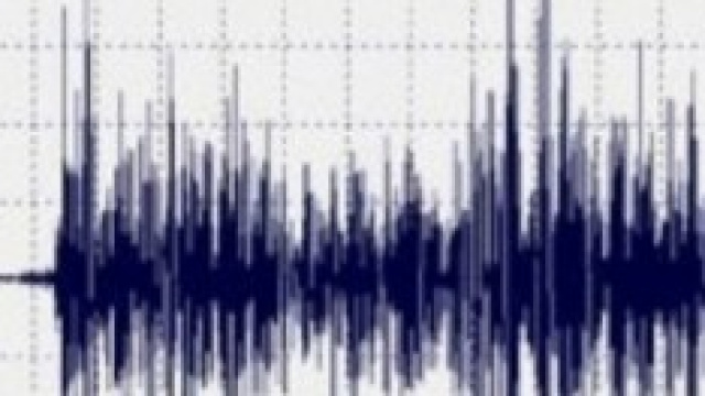Terremoto a Crotone, Magnitudo 5.0