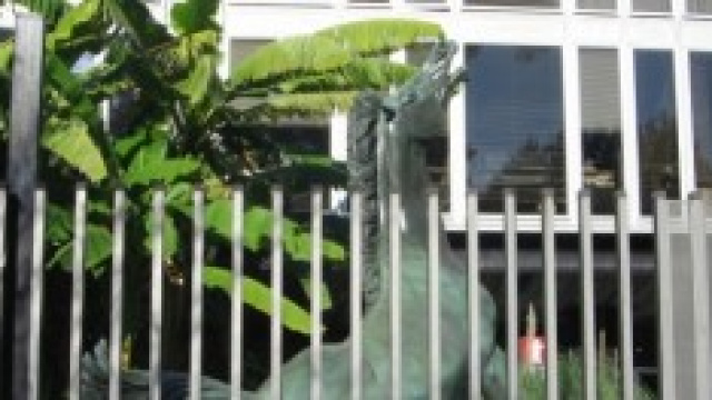 Concorso pubblico RAI per giornalisti