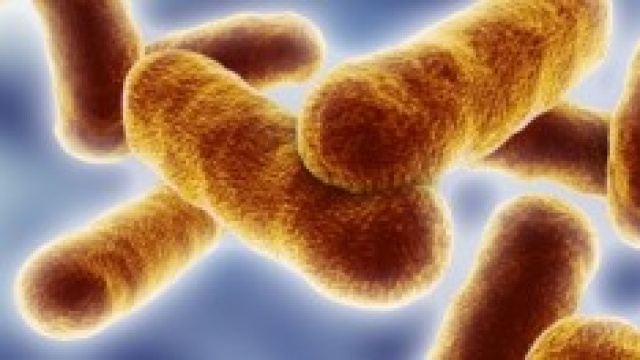 Tubercolosi, numeri e casi
