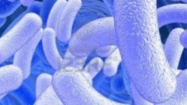 Microrganismi al microscopio elettronico.