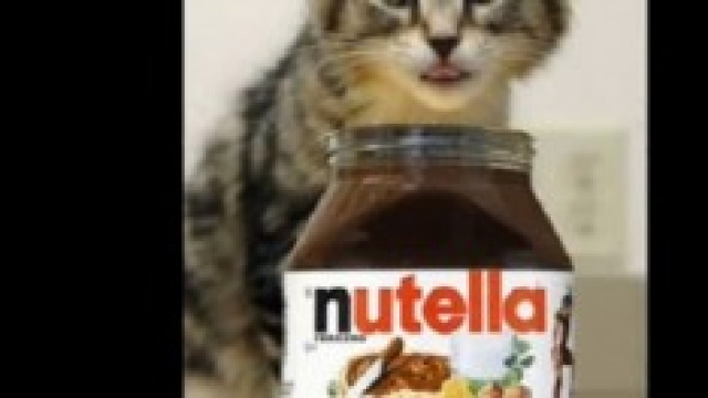 Concerto Nutella 18 maggio 2014 a Napoli.