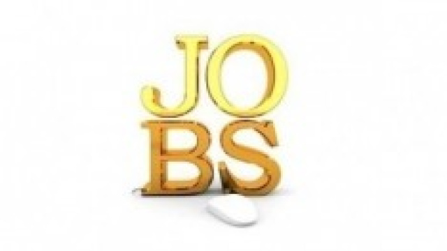 Lavoro stagionale 2014, offerte Bluserena