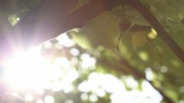 Caldo record con l'arrivo di Hannibal