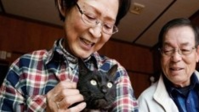 I coniugi Yamagishi riabbracciano il gatto Suika