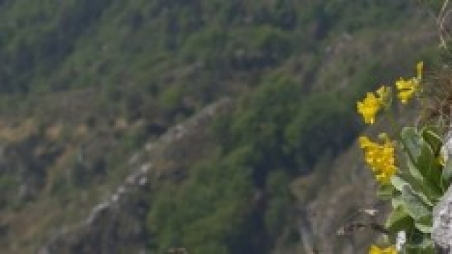 Uno scorcio del Monte Piciat