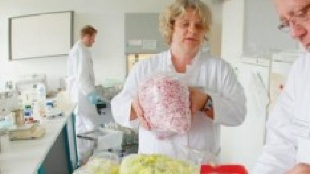 Sicurezza e lotta agli sprechi