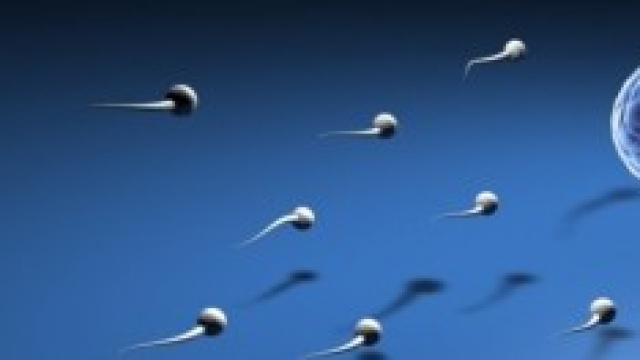 Un disegno sull'inseminazione