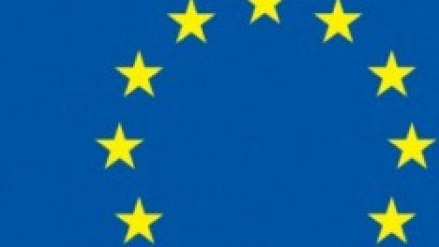 Elezioni Europee 25 maggio 2014: guida al voto