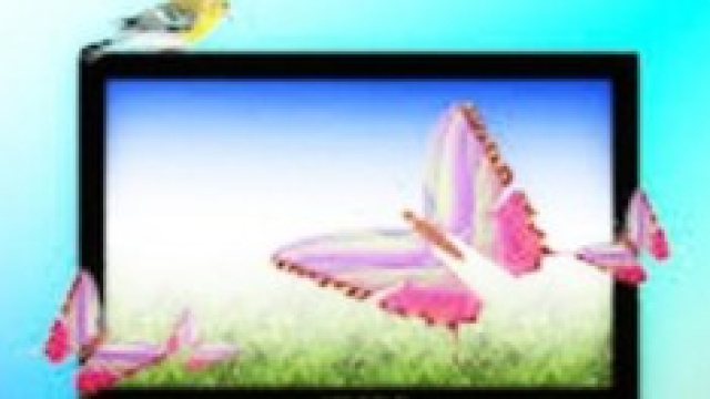Programmi TV domenica 25 maggio