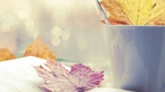 Graduatorie di istituto e posti sostegno: titoli