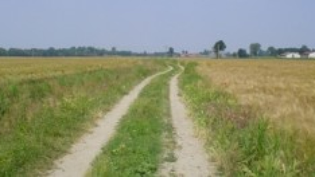 &Egrave; stata esclusa la pista della donna di 46 anni 