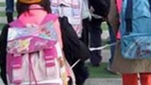 Dal Censis l'allarme sull'agibilit&agrave; delle scuole.