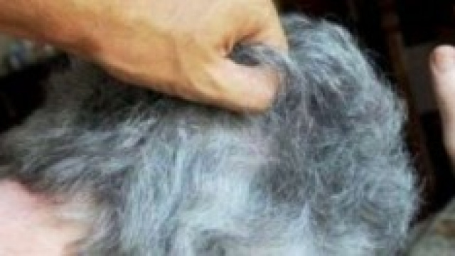 Anziana picchiata perch&egrave; fumava in casa 