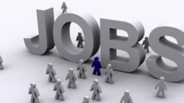 Le offerte di lavoro per l'estate 2014