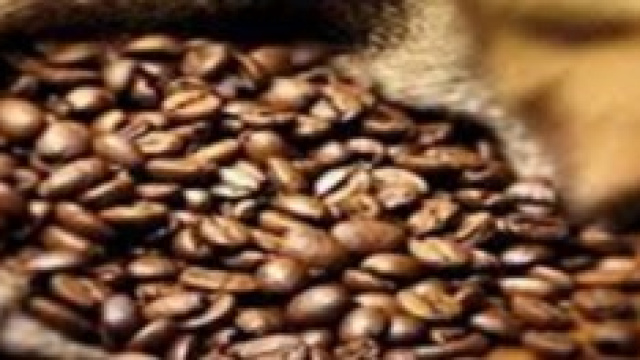 Caff&egrave;, una minaccia per l'ambiente.