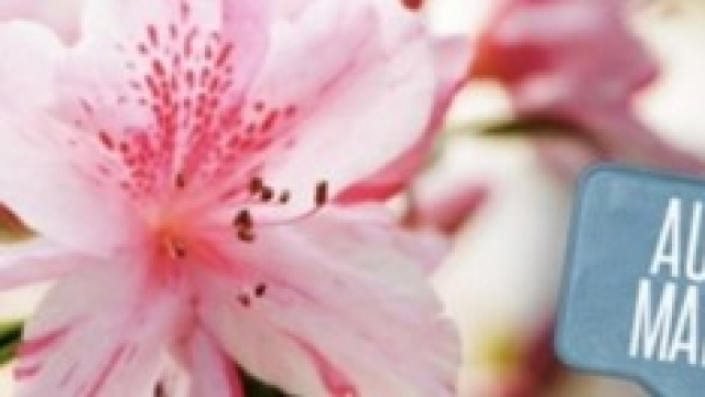 Festa della mamma 2014, data e idee regalo