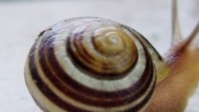 L'economia italiana arranca rispetto alla media UE