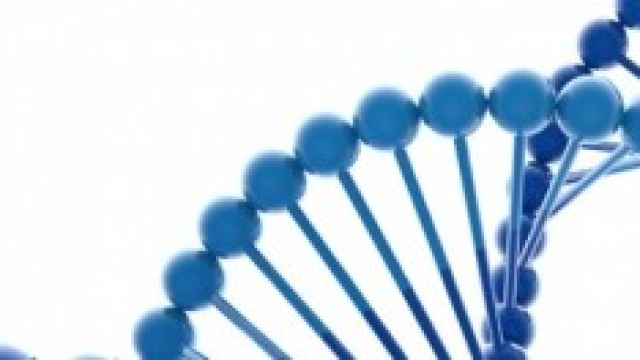 Modellino 3D Del genoma umano