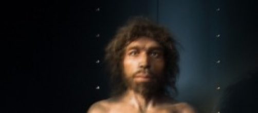 La evolucion ha durado millones de a&ntilde;os