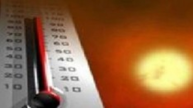 Caldo estivo 2014: evitare le ondate di calore