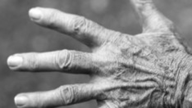 Pensioni 2014: ecco le ultimissime novit&agrave;