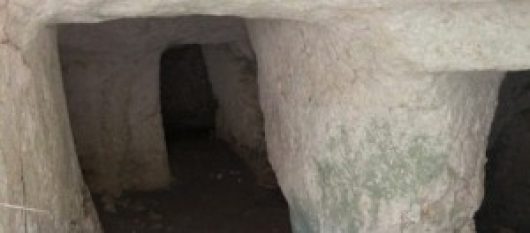 news-image