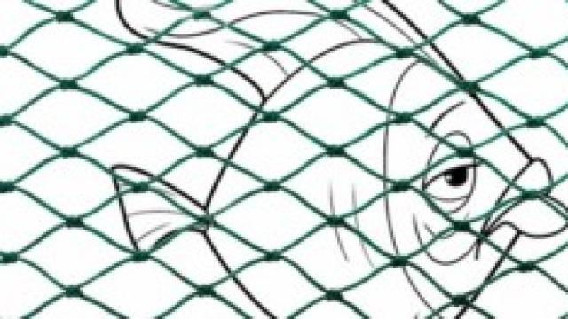 bloccato come un pesce in una rete