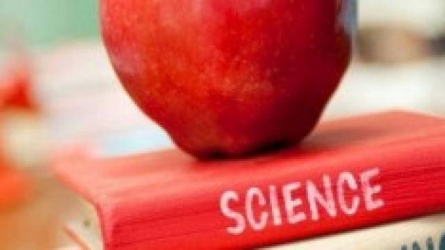 Graduatorie ad esaurimento: 6 punti per SSIS