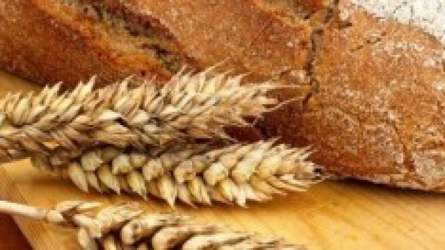 La speranza per i celiaci dal "glutine amichevole"