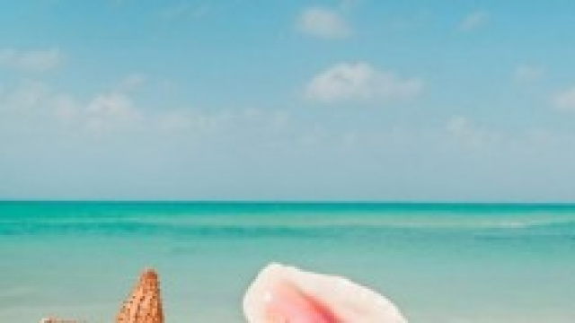 Vacanze estive 2014 low cost