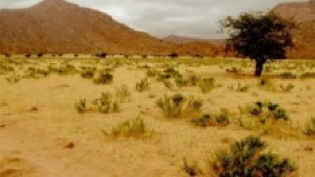 Il lavoro: un'oasi, miraggio nel deserto