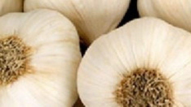 alcuni bulbi  della  pianta dell'aglio 