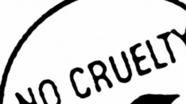 impariamo a conoscere il mondo vegano 