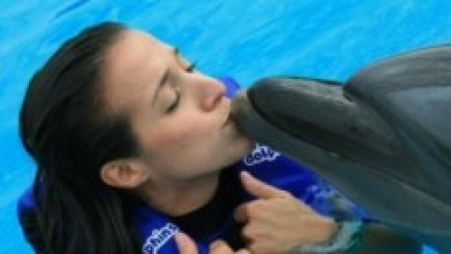 scienziata afferma di aver fatto sesso con delfino