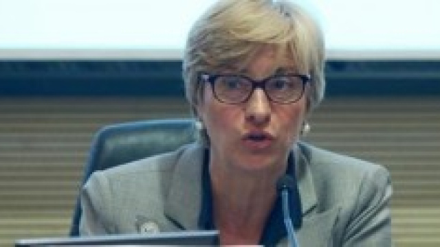 Ministro Pinotti sui caccia F35.