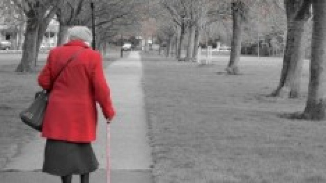 Riforma Pensioni: ok esodati, ko quota 96.
