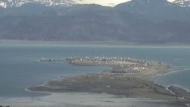 webcam della baia dell'Alaska