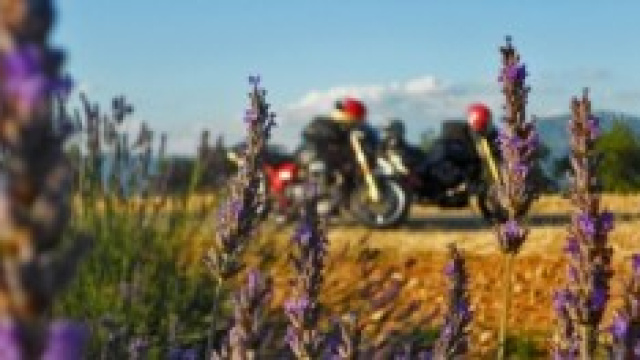 Una sosta a Valensole tra la lavanda