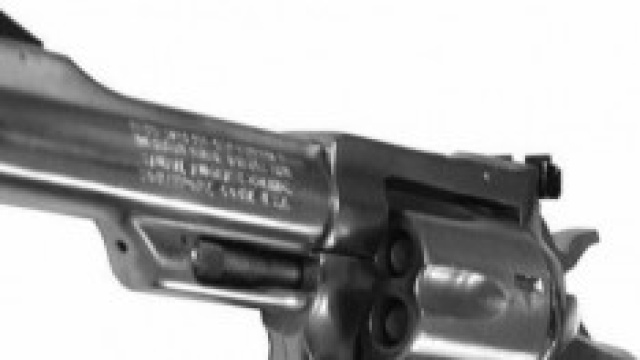 Genova: guardia giurata si uccide 