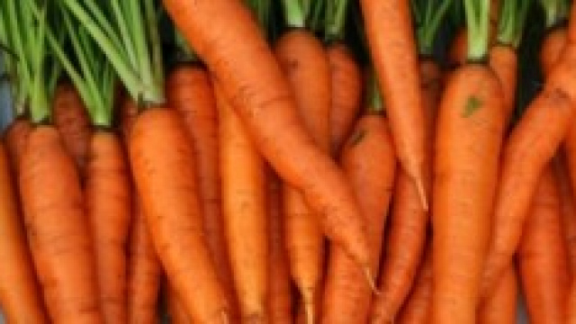 Carota: una radice preziosa per la  pelle