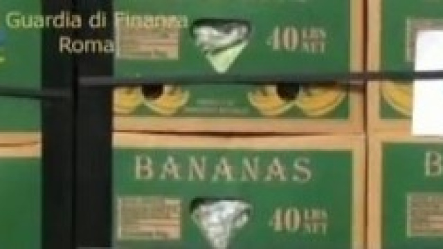 maxisequestro di coca nascosta fra le banane 